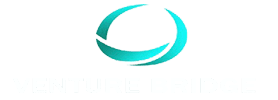 Venture Bridge