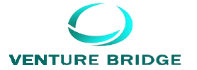 Venture Bridge